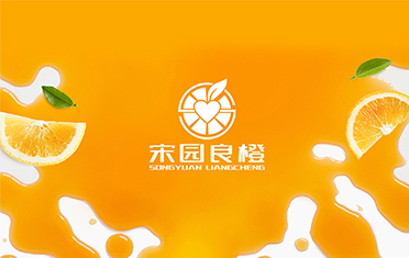 某良橙——固原LOGO设计